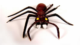 Your Web Address